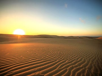 Sunrise Desert Safari, Camel Ride, Dune Bashing, Inland Sea By Falcon Tours