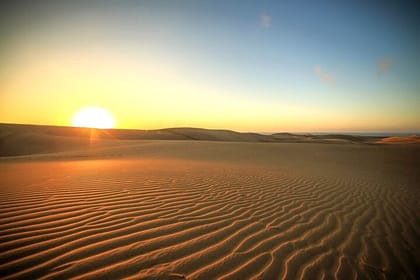 Sunrise Desert Safari (Optional Camel Ride/Breakfast/Bonfire)