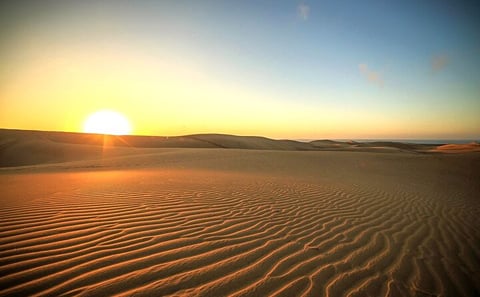 Sunrise Desert Safari with Camel Ride in Doha, Qatar