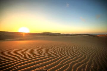 Sunrise Desert Safari with Camel Ride in Doha, Qatar
