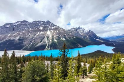 Lake Louise, Moraine Lake, Peyto Lake, Crowfoot Tour from Banff