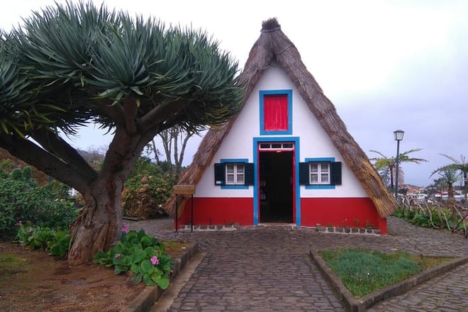 Madeira Safari - East of the island photo 3