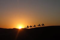 Merzouga Dunes Sunset Camel Ride in Morocco