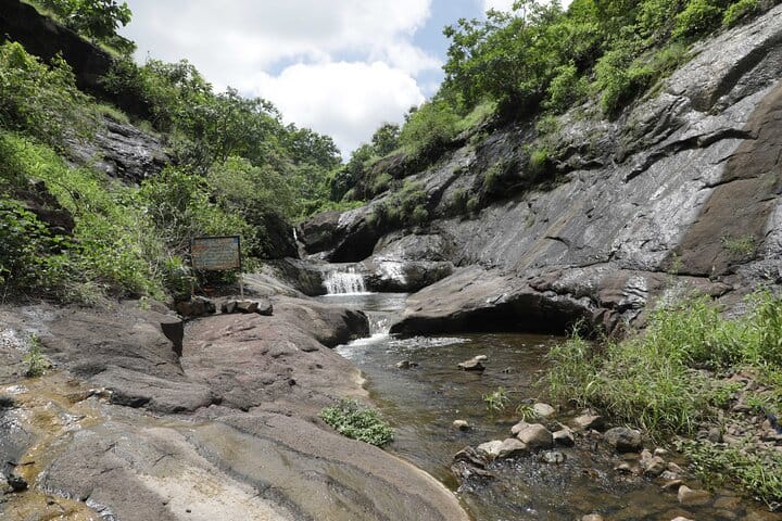 Aurangabad to Ellora and Pitalkhora Caves Day Trip Expedition