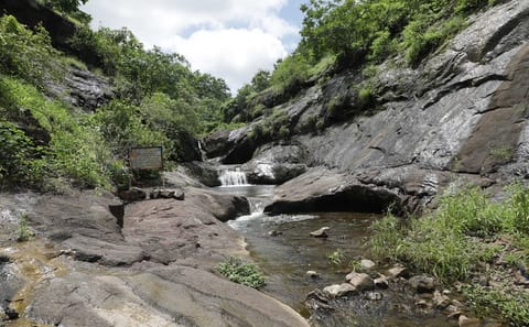 Aurangabad Day Trip to Ellora and Pitalkhora Caves