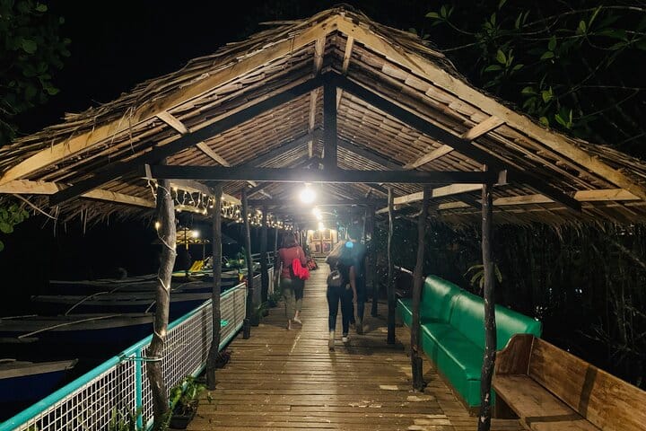 Puerto Princesa Jungle River Firefly Watching