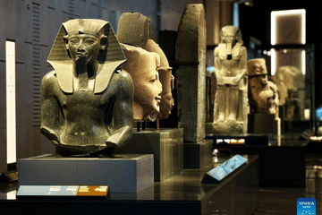 Half-Day Tour of the National Museum of Egyptian Civilization in Cairo