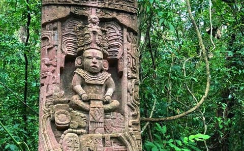 Mayan Eden Eco Park and Chocolate Factory Tour in Roatán