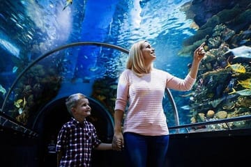Antalya Aquarium and Fun Park Tour with Hotel Pickup