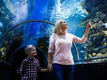 Antalya Aquarium and Fun Park Tour with Hotel Pickup