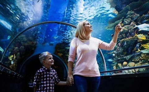 Antalya Aquarium and Fun Park Tour with Hotel Pickup