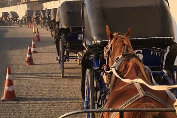 Private Horse-Carriage Tour of Historic Luxor, Egypt