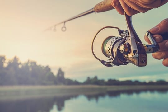 Full-Day Fishing Experience with Barbecue in Santos – Pick-up in São Paulo