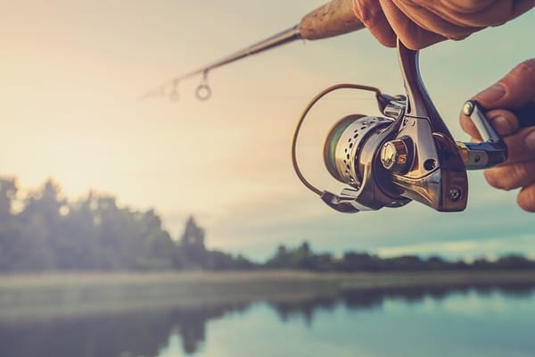 Full-Day Fishing Experience with Barbecue in Santos – Pick-up in São Paulo