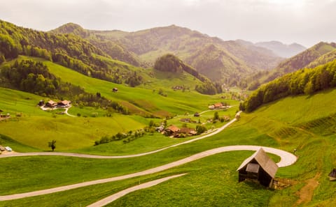 Self-Drive Tour of Switzerland: 8 Days from Zurich