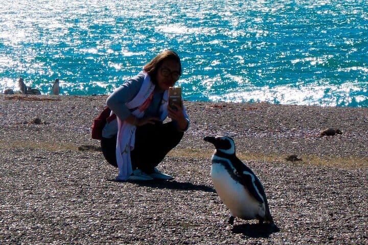 Estancia San Lorenzo: Home to the Largest Penguin Colony
