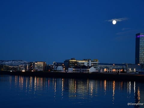 Reykjavik History and Sightseeing Walking Tour, photo 4