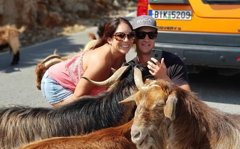 Full-Day Luxury 4x4 Tour in Agios Nikolaos and Anogia