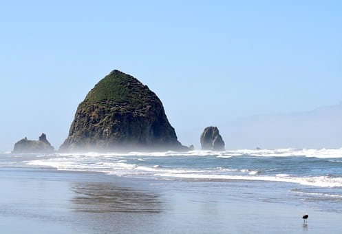 Private Oregon Coast Brewery Tour photo 6