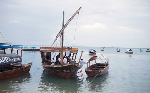 Prison Island Tour: Giant Tortoises & Changuu Island Boat Trip