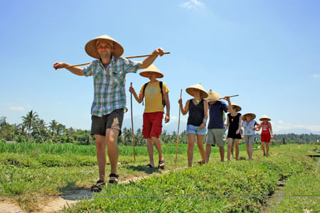 A Day as A Balinese