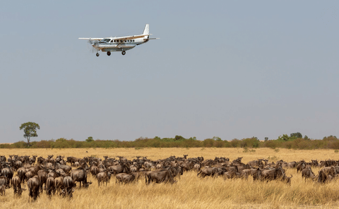 Maasai Mara National Reserve Fly-In Safari Day Trip
