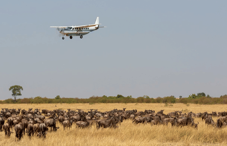Maasai Mara National Reserve Fly-In Safari Day Trip