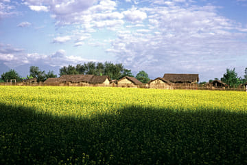 4 Days – Chitwan National Park Safari Wildlife Discovery (Filming Option)