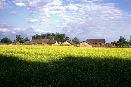 4 Days – Chitwan National Park Safari Wildlife Discovery (Filming Option)