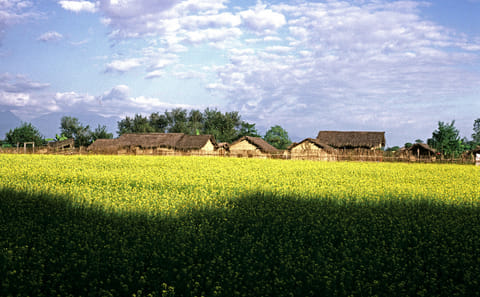 Chitwan National Park 4-Day Wildlife Safari and Culture Tour