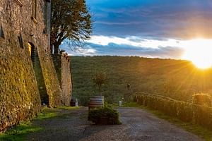 Small Group Tour - Special Wine Tasting Tour in Chianti with Dinner at Sunset