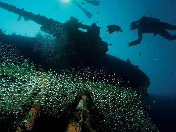 Scuba Diving Adventure in Kalkudah, Sri Lanka