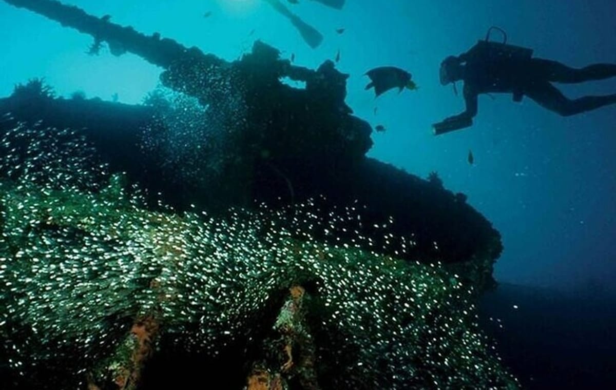 Scuba Diving in Pasikudah