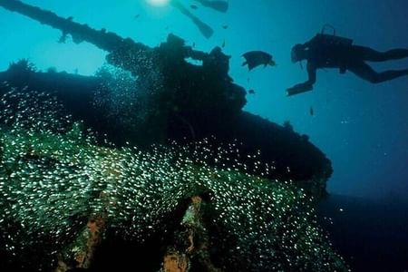 Scuba Diving in Pasikudah