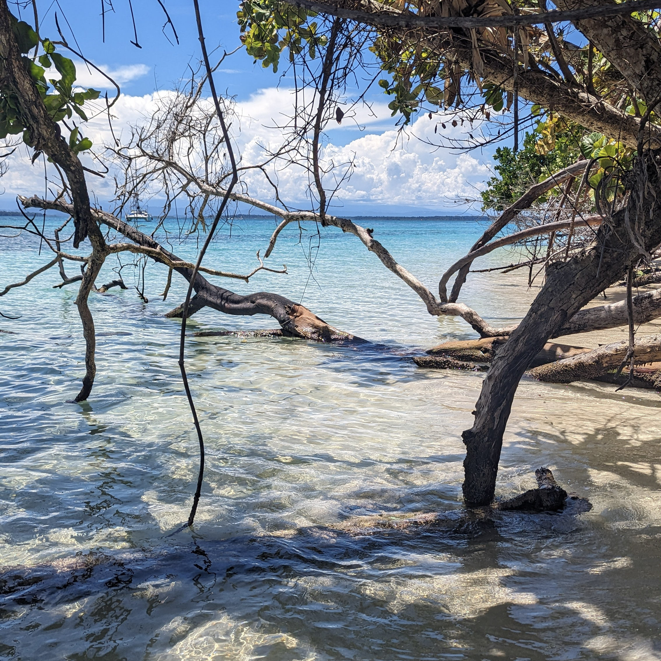 Bocas-del-toro-beach  
