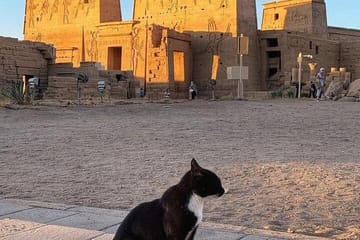 Private Day Tour from Luxor to Aswan and Kom Ombo