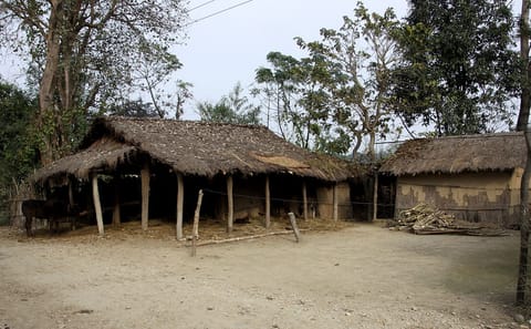 6-Day Homestay Hike in Chepang Village, Bagmati Province