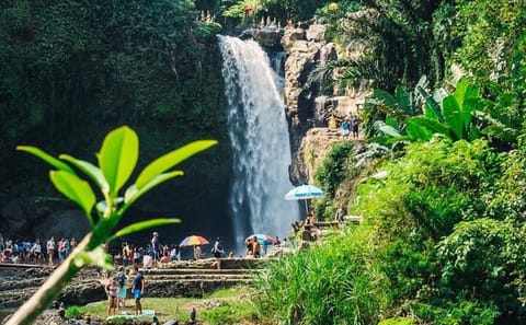 Private Cultural and Nature Tour in Ubud, Bali