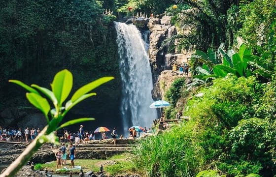 Private Ubud Tour with Swing