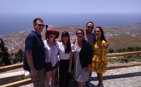 Santorini Wine Tasting Tour in Kamari and Megalochori