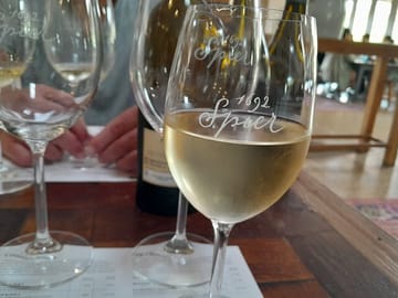 Private Wine Tasting and Pairing Tour in Stellenbosch