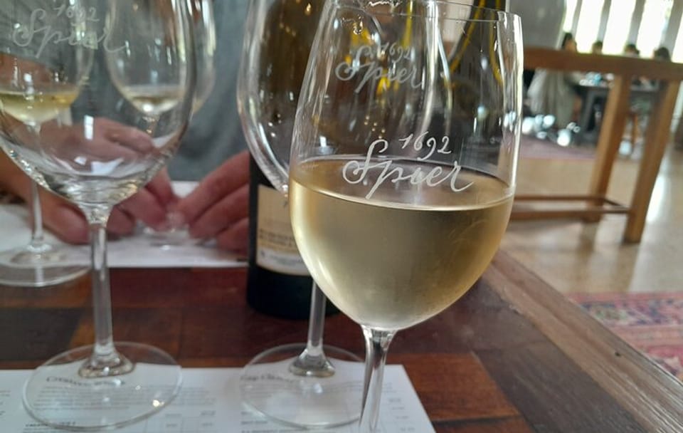 Private Wine Tasting and Pairing Tour in Stellenbosch