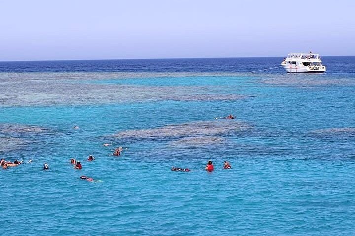 Snorkeling Day Trip With Dugong And Turtles Marsa Mubarak By Boat 4