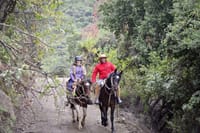 Horseback riding and wines from Santiago 3