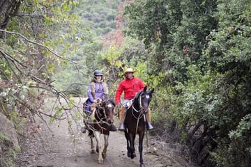 Horseback riding and wines from Santiago