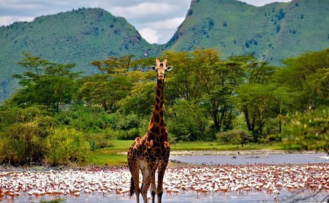 2 Days Prehistoric Tour in Elemantaita, Soysambu and Kariandusi