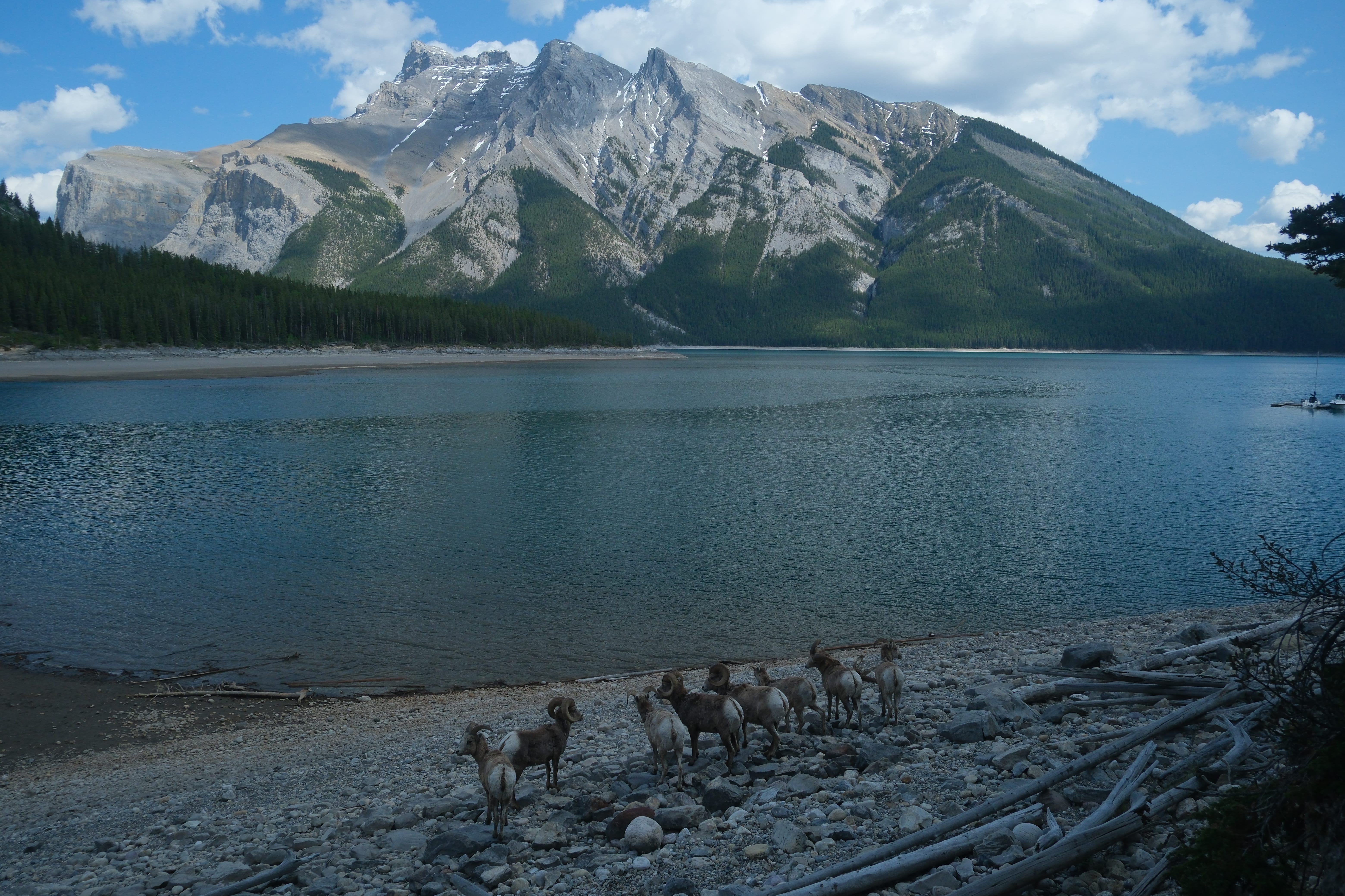 Lake Minnewanka