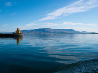 Best Value Whale Watching tour from Reykjavik, photo 36
