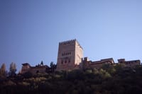 Granada Private Walking Tour with a Professional Guide 6