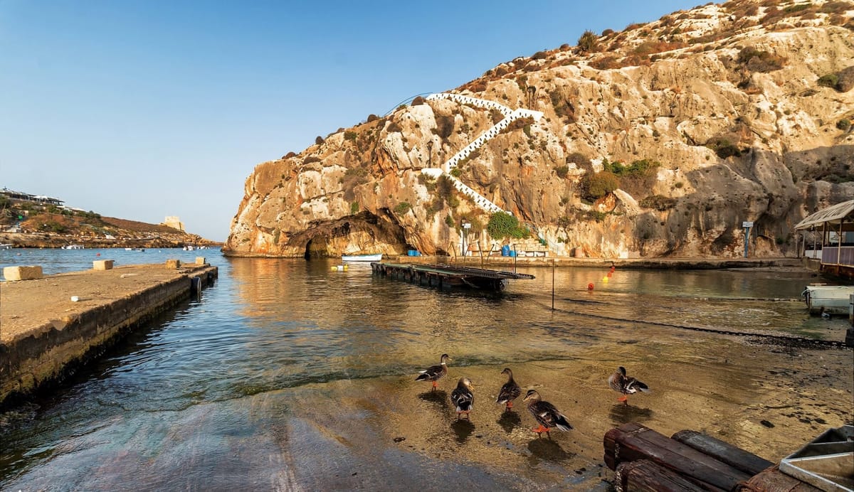 Afternoon Valletta Harbour Cruise and Free Time In Sliema (Including Guide and Transport)